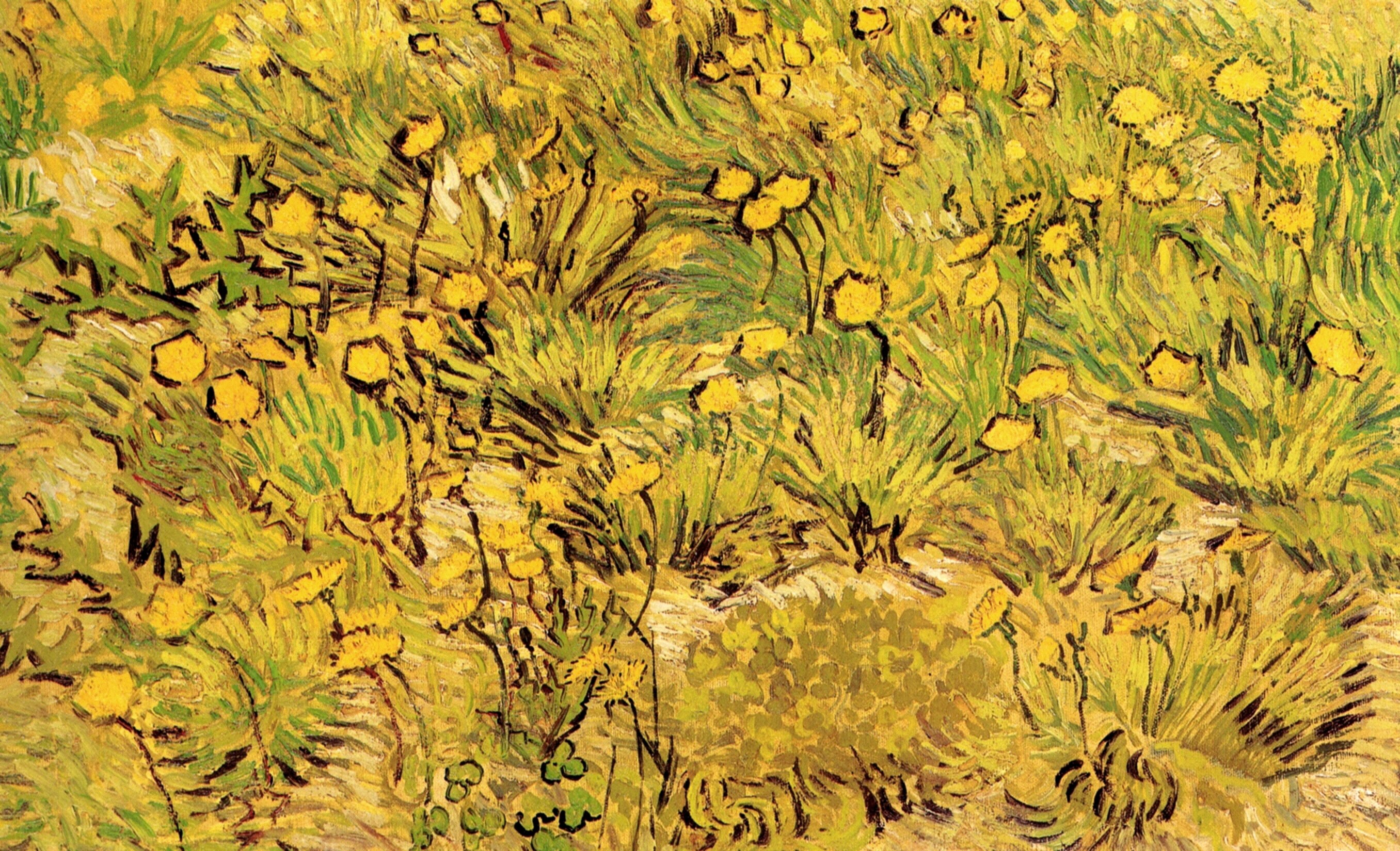 Картина Ван Гога Поле желтых цветов 1889